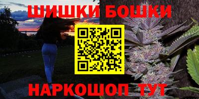 МДПВ Будённовск
