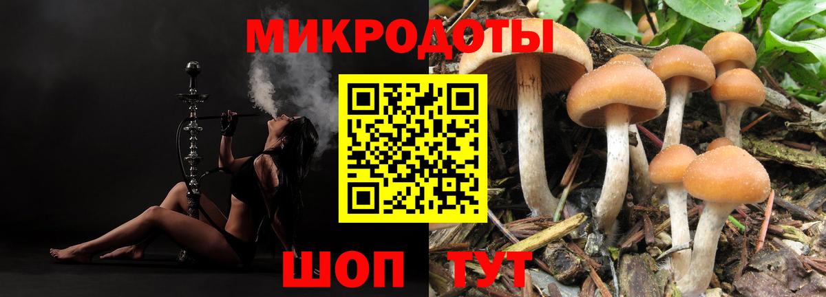 Галлюциногенные грибы MAGIC MUSHROOMS Наро-Фоминск